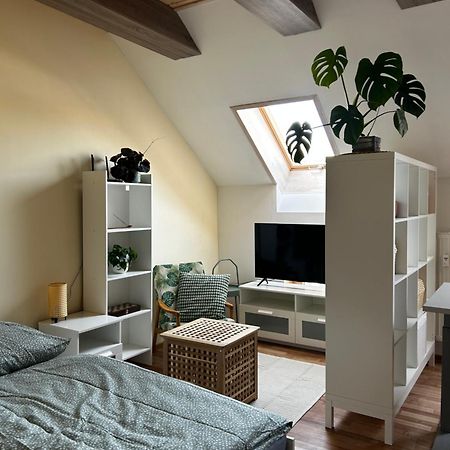 Utulny Apartman V Centre Kezmarku Кежмарок Екстер'єр фото